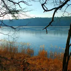 Jezioro Osowskie: idealne miejsce na wędkowanie i relaks w naturze