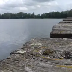 Jezioro Małszewskie: piękne miejsce na wędkowanie i relaks w naturze