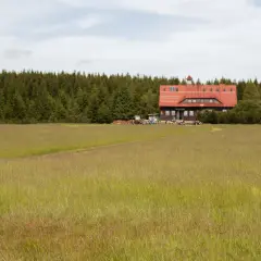 Dziewczyna w kratę podziwia schronisko na tle lasu w Górach Izerskich, Polska.