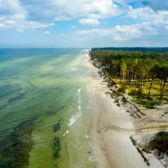 Malownicza lubiatowo plaża z zielonym morzem i sosnowym lasem. Piasek, fale i chmury tworzą spokojny krajobraz.