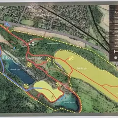 Mapa Arboretum w Jaworznie, pokazująca polskie Malediwy trasę spacerową wokół zbiorników wodnych i przez tereny zielone.