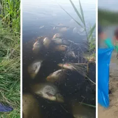 Jezioro Farskie: problemy ekologiczne i wędkowanie w Przyszowicach