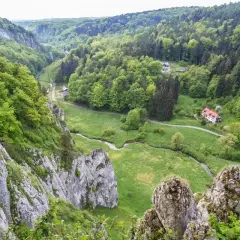 Malownicza dolina Prądnika otoczona bujną zielenią lasów, z krętą rzeką i skalnymi ostańcami. W oddali widać domy.