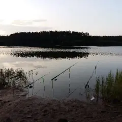 Jezioro Hartowieckie: piękne miejsce na wędkowanie i relaks