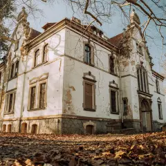 Opuszczony pałac w Polsce, zniszczony tynk i suche gałęzie drzew tworzą melancholijny obraz.