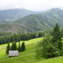 Zielone doliny Tatr, lasy świerkowe i górskie szczyty. W oddali widać kolejkę linową, a na zboczu chaty pasterskie, czyli kalatówki.