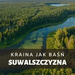 Malownicze jeziora i lasy Suwalszczyzny, kraina jak baśń.