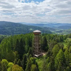 Wieża widokowa w otoczeniu lasów, z której rozciąga się panorama na górzyste tereny w okolicy Muszyny Zdroju.