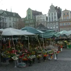 Kwiatowe stoiska na placu solnym we Wrocławiu, kolorowe kamienice w tle.