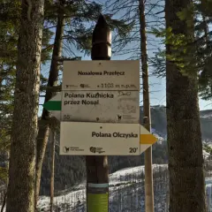 Znak szlaku na Nosalowej Przełęczy, 1103 m n.p.m. Kierunki: Polana Kuźnicka (55 min) i Polana Olczyska (20 min).