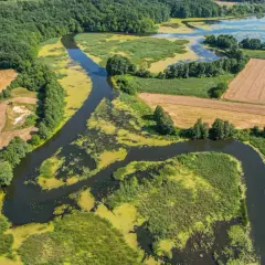 Malowniczy krajobraz w okolicach Bodzanowa: meandrująca rzeka, jezioro, lasy i pola uprawne.