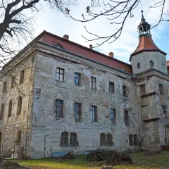 Zamek w Domanicach, zniszczony, z wieżą i czerwonym dachem, stoi na tle błękitnego nieba.