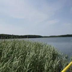 Jezioro Wilkowskie: piękne miejsce na relaks i udane wędkowanie