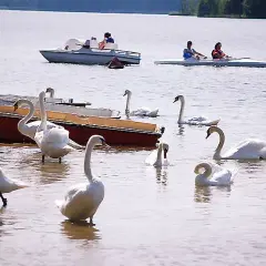 Jezioro Blizno Kujawsko Pomorskie - raj dla wędkarzy i turystów