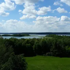 Malownicze jezioro i lasy na Suwalszczyźnie. Idealne miejsce na odkrywanie atrakcji regionu.