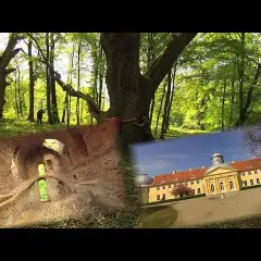Zamek w Miliczu: Historia, ruiny i tajemnice zapomnianego miejsca