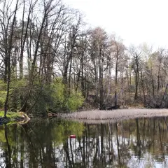 Jezioro Lucieńskie – idealne miejsce na relaks i wędkowanie w naturze