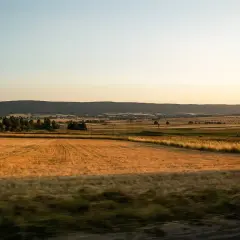 Złote pola pszenicy i zielone łąki rozciągają się aż po horyzont, gdzie w oddali widać łagodne wzgórza. To krajobraz przypominający o najstarszych górach w Polsce.