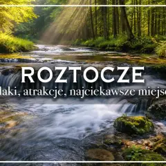 Roztocze lubelskie: malowniczy potok w lesie, wodospady, szlaki i najciekawsze miejsca.