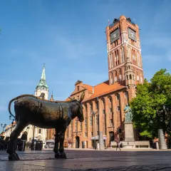 Pomnik osiołka na Rynku Staromiejskim w Toruniu, z widoczną wieżą Ratusza Staromiejskiego.