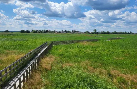 Drewniana kładka wśród zielonych łąk, prowadząca do urokliwej wsi. Nietypowe atrakcje Podlasia w pełnej krasie.