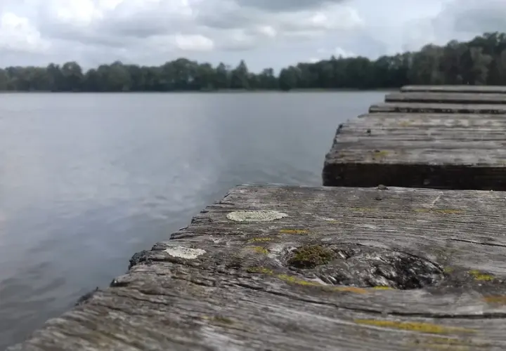 Jezioro Małszewskie: piękne miejsce na wędkowanie i relaks w naturze
