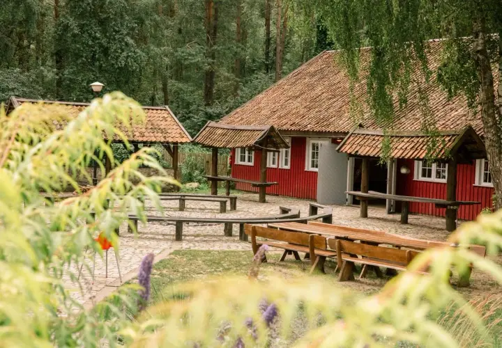 Idealne miejsce na konferencje na Mazurach: czerwony budynek z drewnianymi ławami i stołami w otoczeniu lasu.