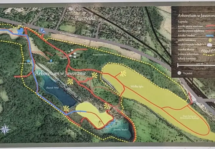 Mapa Arboretum w Jaworznie, pokazująca polskie Malediwy trasę spacerową wokół zbiorników wodnych i przez tereny zielone.