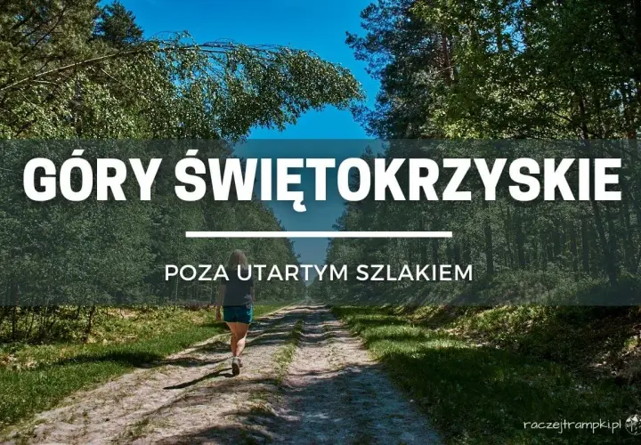 Kobieta idzie leśną drogą, odkrywając nieznane szlaki w Górach Świętokrzyskich.