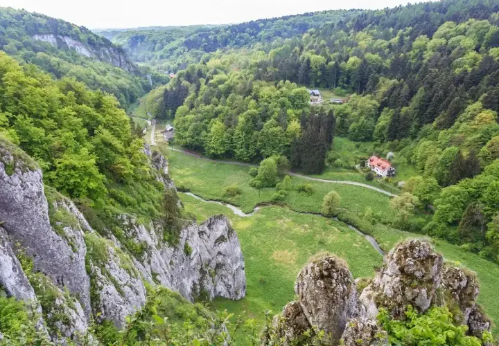 Malownicza dolina Prądnika otoczona bujną zielenią lasów, z krętą rzeką i skalnymi ostańcami. W oddali widać domy.