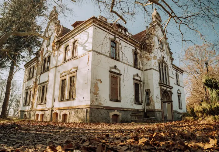 Opuszczony pałac w Polsce, zniszczony tynk i suche gałęzie drzew tworzą melancholijny obraz.