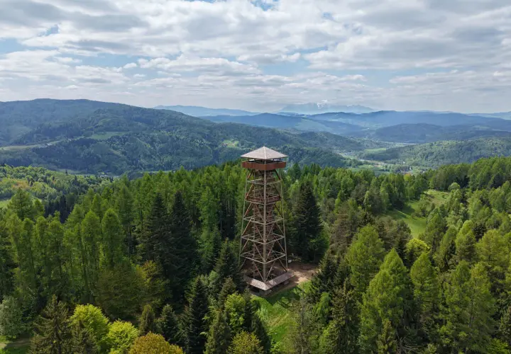 Wieża widokowa w otoczeniu lasów, z której rozciąga się panorama na górzyste tereny w okolicy Muszyny Zdroju.