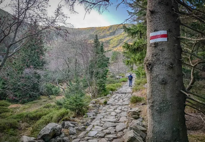 Kamienista ścieżka w górach, oznaczona czerwonym szlakiem na Śnieżkę. Wędrowiec idzie w stronę szczytu.