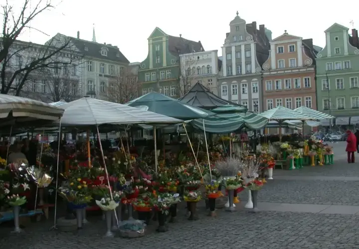 Kwiatowe stoiska na placu solnym we Wrocławiu, kolorowe kamienice w tle.