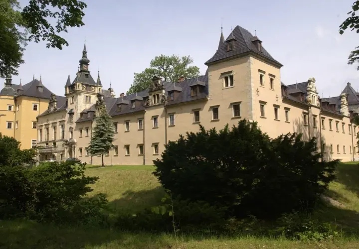 Piękny, żółty zamek z wieżami i ozdobnymi dachami. Ile jest zamków w Polsce? Ten jeden z pewnością wart jest zobaczenia.