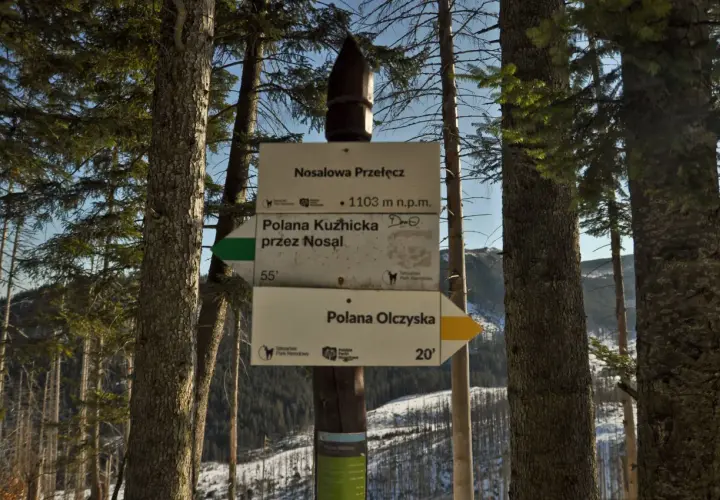 Znak szlaku na Nosalowej Przełęczy, 1103 m n.p.m. Kierunki: Polana Kuźnicka (55 min) i Polana Olczyska (20 min).