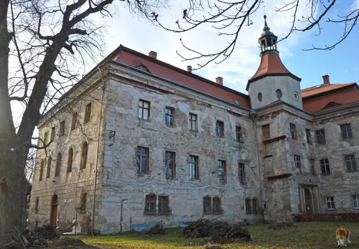 Zamek w Domanicach, zniszczony, z wieżą i czerwonym dachem, stoi na tle błękitnego nieba.