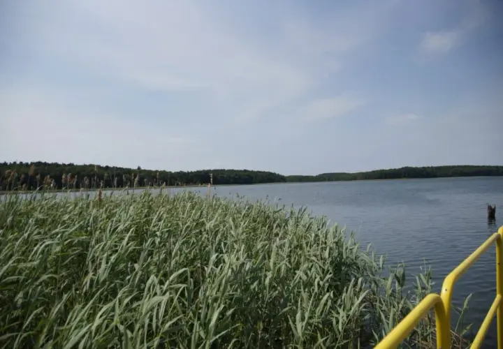 Jezioro Wilkowskie: piękne miejsce na relaks i udane wędkowanie