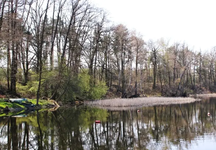 Jezioro Lucieńskie – idealne miejsce na relaks i wędkowanie w naturze