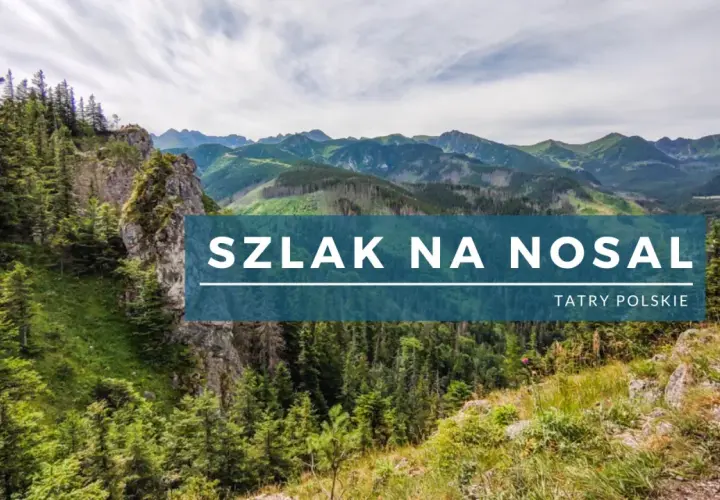 Malowniczy szlak na Nosal w Tatrach Polskich. Góry porośnięte lasem, skaliste zbocza i piękny widok.