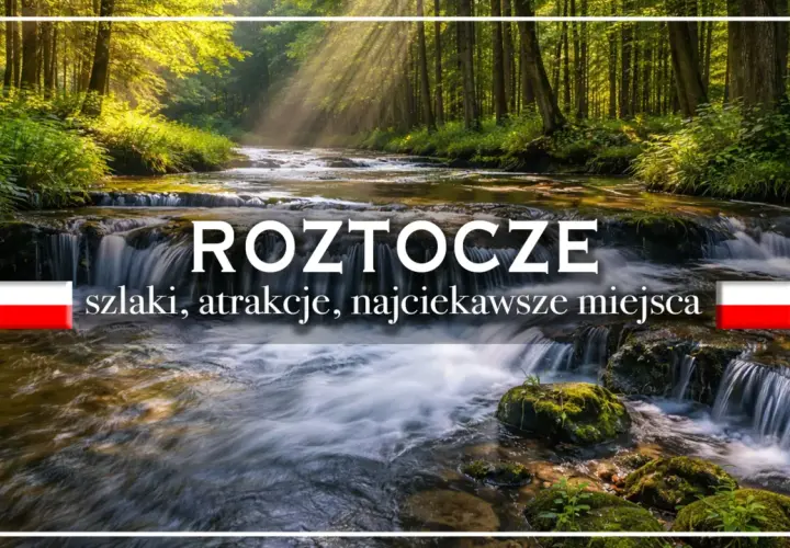 Roztocze lubelskie: malowniczy potok w lesie, wodospady, szlaki i najciekawsze miejsca.