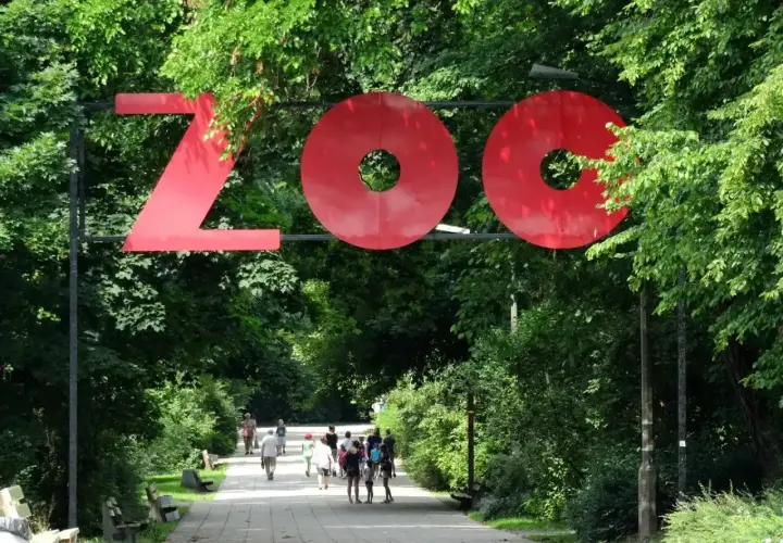 Duże czerwone litery "ZOO" nad alejką w zielonym parku. Ludzie spacerują, ciesząc się dniem w zoo w Polsce.