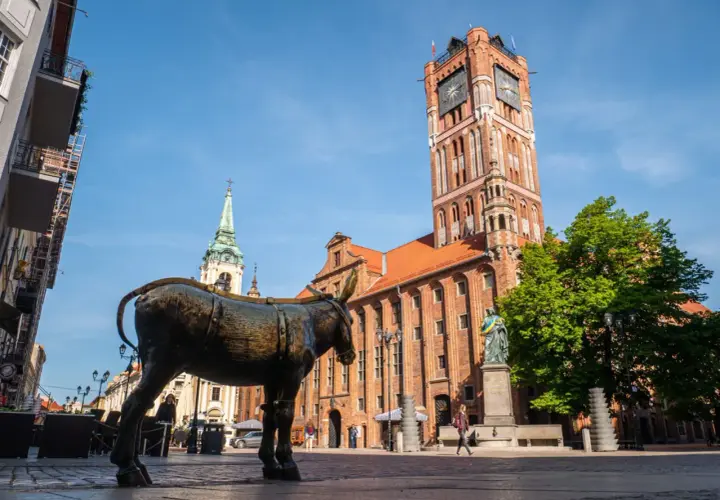 Pomnik osiołka na Rynku Staromiejskim w Toruniu, z widoczną wieżą Ratusza Staromiejskiego.