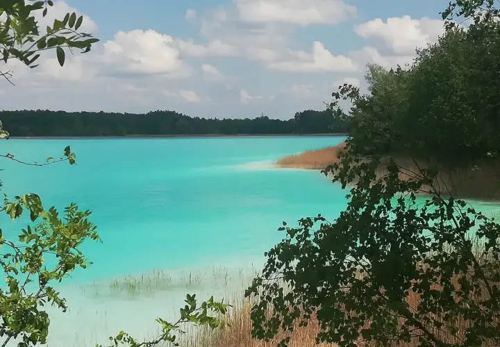 Turkusowe jezioro w Koninie, otoczone zielenią i trzcinami, lśni w słońcu.