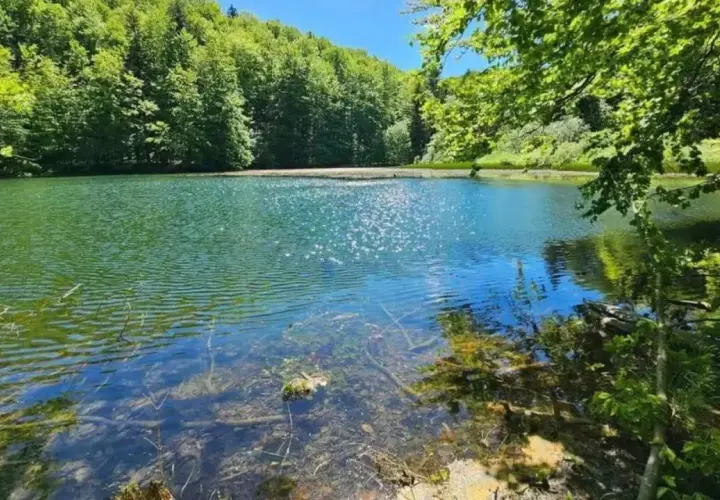 Zielone, spokojne jeziorka duszatyńskie otoczone bujnym lasem. Słońce odbija się w wodzie, tworząc iskrzące refleksy.