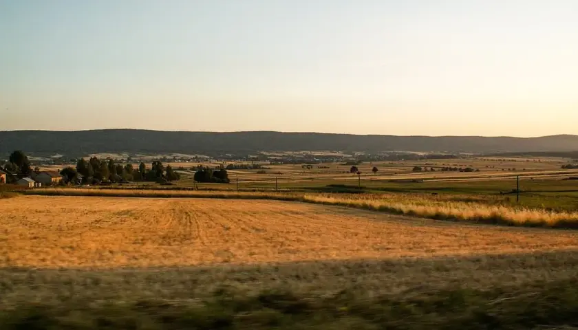 Złote pola pszenicy i zielone łąki rozciągają się aż po horyzont, gdzie w oddali widać łagodne wzgórza. To krajobraz przypominający o najstarszych górach w Polsce.