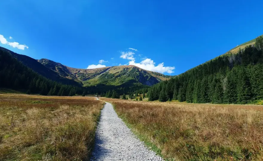 Hala Kondratowa – szlak z Kuźnic: idealny na start w Tatrach?