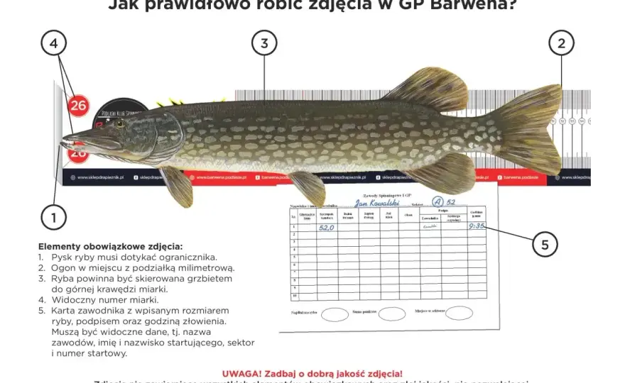 Wymiar ochronny szczupaka - Zmierz dobrze i uniknij kary!