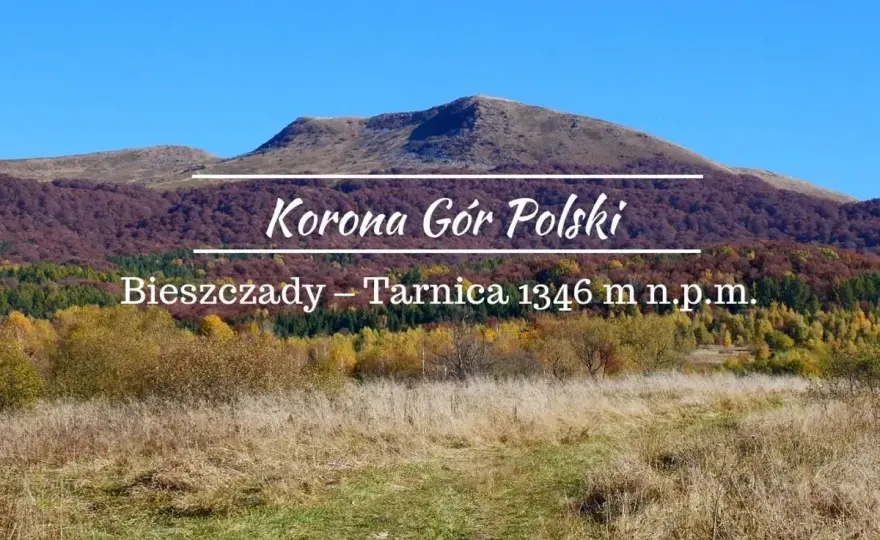 Tarnica 1346 m n.p.m. - Jak wejść na szczyt bez zaskoczeń?