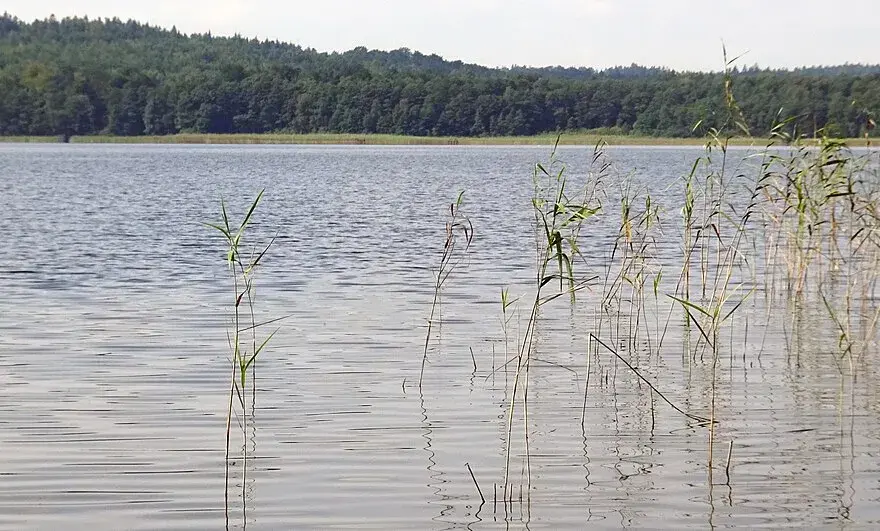 Jezioro Choczewskie: Raj dla wędkarzy i miłośników natury
